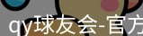 qy球友会